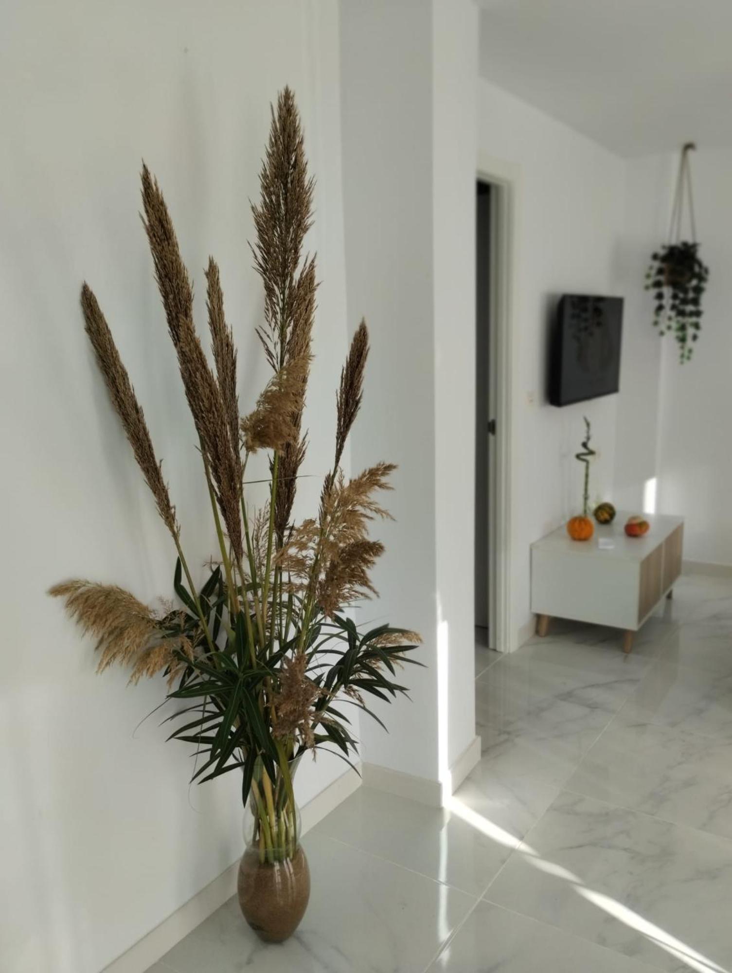 Apartamento Sun Gate Jerez de la Frontera Exterior photo